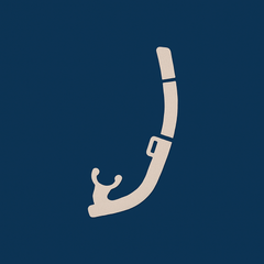 Collection image for: Snorkels