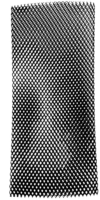Beaver Heavy Duty 8" (215mm) Cylinder Mesh | Black PVC Sleeve | Fits 12–15L Cylinders