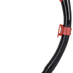 Black/Red